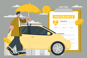 Private Vehicle Insurance